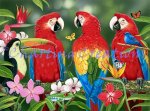 Tropical Friends (image for) Tropical Friends